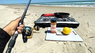 SOLO Beach Fishing.. Eating Whatever I Catch (Catch and Cook)