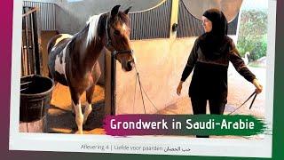 Hoe maken ze de paarden zadelmak?  |  حب الحصان | 𝘚𝘯𝘶𝘪𝘵𝘢𝘣𝘭𝘦