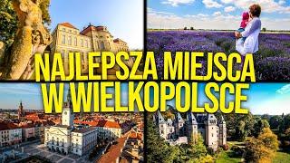 Co Warto Zwiedzić w Wielkopolsce? Ciekawe i Najlepsze Miejsca do Odwiedzenia i Atrakcje Turystyczne