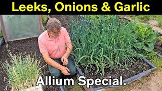 Leeks | Garlic | Onions | Shallots | Leek Backups | Green Side Up