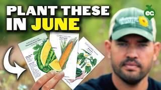 8 Crops You'd Be WILD Not To Plant in June!