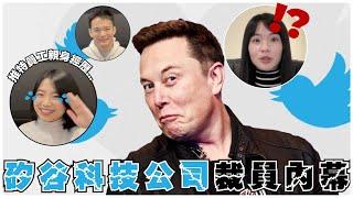 馬斯克大裁Twitter 推特？！員工公開內部真實情況！｜ft. 矽谷輕鬆談｜哈佛姐夢遊矽谷