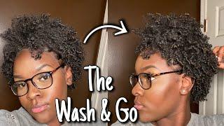 Defined Wash and Go | WETLINE XTREME GEL | Type 4 Natural Hair