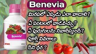 మిరపలో Benevia ఎలా వాడాలి Benevia Fmc telugu | Benevia Fmc | Beneviainsecticide uses