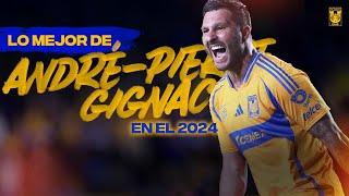  ¡Lo mejor de André-Pierre Gignac en el 2024!