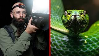 Fotografío serpientes y ranas venenosas de noche