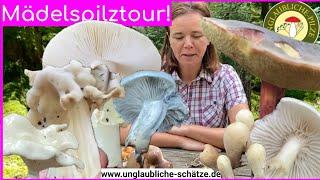 Mädeltour im Pilzwald - Pilzfrau entdeckt den Wald! Pilze suchen im goldenem Herbst! Oktober 2024