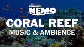 Finding Nemo | Disney Music & Ambience - Coral Reef Underwater Sounds for Sleep, Study, Relaxation