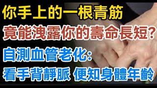 你手上的一根青筋，竟能泄露你的寿命长短？自测血管老化：看手背静脉，便知身体年龄！【生活哲理talks】#晚年#哲理  #中老年生活 #為人處世 #生活經驗 #情感故事 #老人 #幸福人生#talks