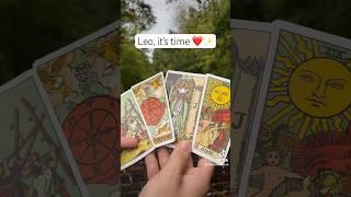 Leo, it’s time️ #ramblewithrob #leotarot #leotarotreading #leolovereading #leotarottoday #tarot