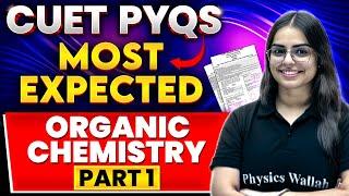 CUET 2024 Most Expected PYQs: Organic Chemistry | CUET 2024 Exam Questions