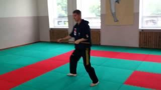 Hanbo - Kata Shodan