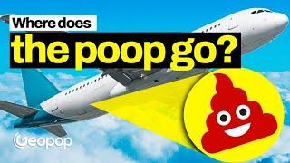 Where Does Waste from Airplane Bathrooms Go?