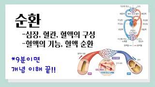 [중2 과학] 순환 l 심장, 혈관, 혈액의 구성 l 혈액의 기능, 혈액 순환