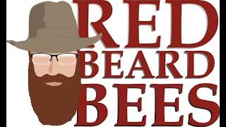 GrassRoot Ohio - All About The Bees w/ Dave Noble of Red Beard Bees