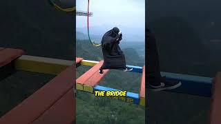 The Most Dangerous Bridge !