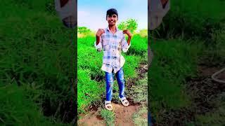 badal barasa bi choli #nepalisong #vishvas king comedy#youtubeshorts #sortvideo #trending #dance