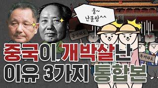 중국이 개박살난 현대사 사건 : 대약진운동, 문화대혁명, 천안문 feat. 마오쩌둥, 덩샤오핑 통합본