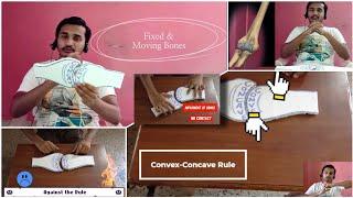 Convex Concave Rule of Bone | Concave Convex Rule | Movements at joints