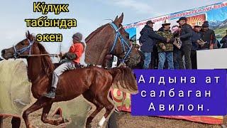 Аламан байге/ Авилон теңсиз экенин көрсөттү.