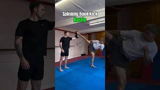 Karate vs Taekwondo Kicks