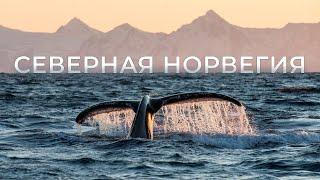 Северная Норвегия: киты, горы и белые ночи