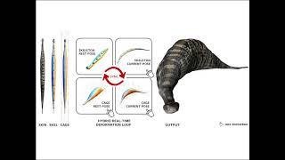 SCA2020: Real-time Deformation with Coupled Cages and Skeletons