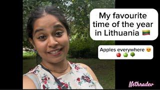 Beautiful time of the year in Lithuania  July-September | Nethra Dev | Vilnius  mini vlog