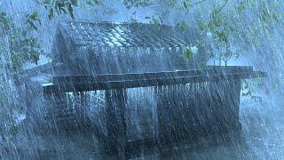 Great Sleep with Heavy Rain & Loud Thunder, Dark Stormy Night Wind on Fragile Tin Roof in Rainforest