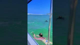 #mirissa #colombo #boattrip #fishingtours #mirissasnorkeling https://mirissasnorkeling.com/ 