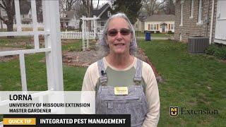 It's holistic. It's common sense.  Integrated Pest Management.