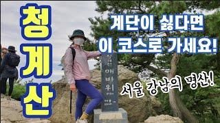 [등산] 청계산 | 계단이 싫다면 이 코스 추천! | 등린이도 가능!