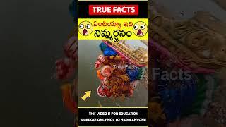 Ganesh immersion explained #factsintelugu నిమ్మర్జనం #amazingfacts #truefacts #shorts