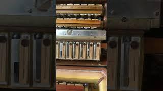 Cassotto Accordion Italo-American Polytone