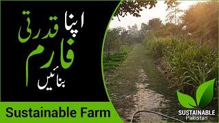 Sustainable Farm House in Lahore - Punjab - Pakistan | Mitti aur bans ka faram barki bedian road