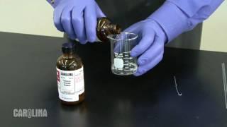 Nylon Synthesis Chemistry Demo