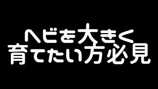 ヘビを大きく育てよう