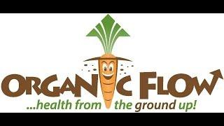 Organic Flow-Restorative Ground Series