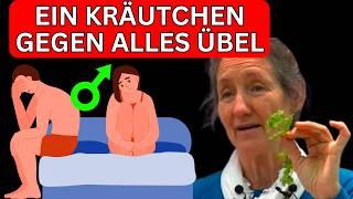 TRINKE NUR 1 TASSE, um EREKTILE DYSFUNKTION ZU HEILEN | Dr. Barbara O'Neill & Dr. William Li