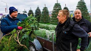 WEIHNACHTSBAUM Abholen, Aufstellen und Harald weiß von nichts! – wird das was?