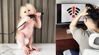 Dad can't stop Monkey Baby Molly from interrupting the brother's work