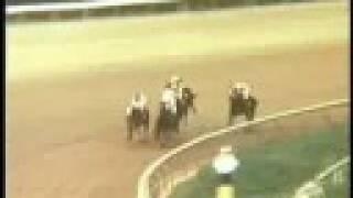 SECRETARIAT - 1972 Garden State Futurity