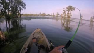 Lake Martin - 5lb Bass on Top Water