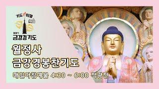 금강경 봉찬 새벽 온라인 기도 | 2024년 9월 25일 수요일 새벽 4:30~6:00