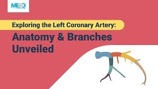 Exploring the Left Coronary Artery: Anatomy & Branches Unveiled