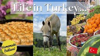 Life in Turkey | Homemade Turkish Baklava, Farmer's Market, Horses | Oh So Pom