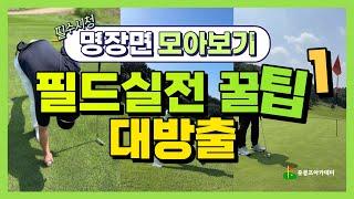 [골프레슨] 필드레슨비 500만원은 아낄수 있는 영상, 초보 골퍼 무조건 10타 이상 줄어듭니다.