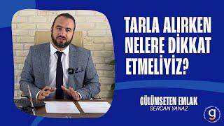 Tarla Alırken Nelere Dikkat Etmeliyiz?  #emlak #gayrimenkul #tarla