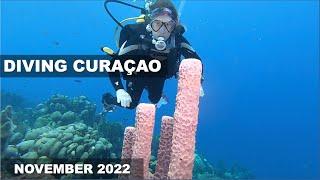 Diving Curaçao, November 2022