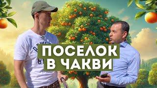 Сколько стоит недвижимость в пригороде Батуми. Grand Botanico 1, 2 в Чакви